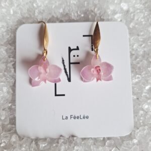 Orchidées roses et mauves